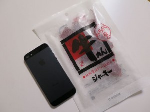 05-04jerky2